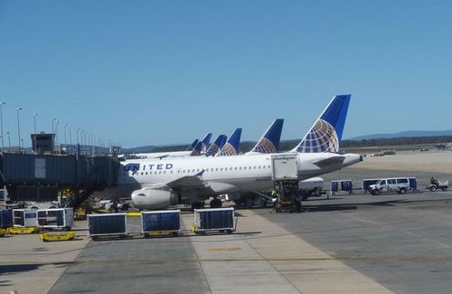 近49億美元 美國航司靠行李托運居然賺了這么多