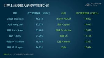 小烏龜學投資系列七 撥開迷霧，慧眼識珠——如何比較與區(qū)分海外股權投資機構