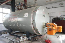 服裝廠設備清倉 2噸燃油鍋爐、粘合機、鎖眼機等專業設備整體轉讓